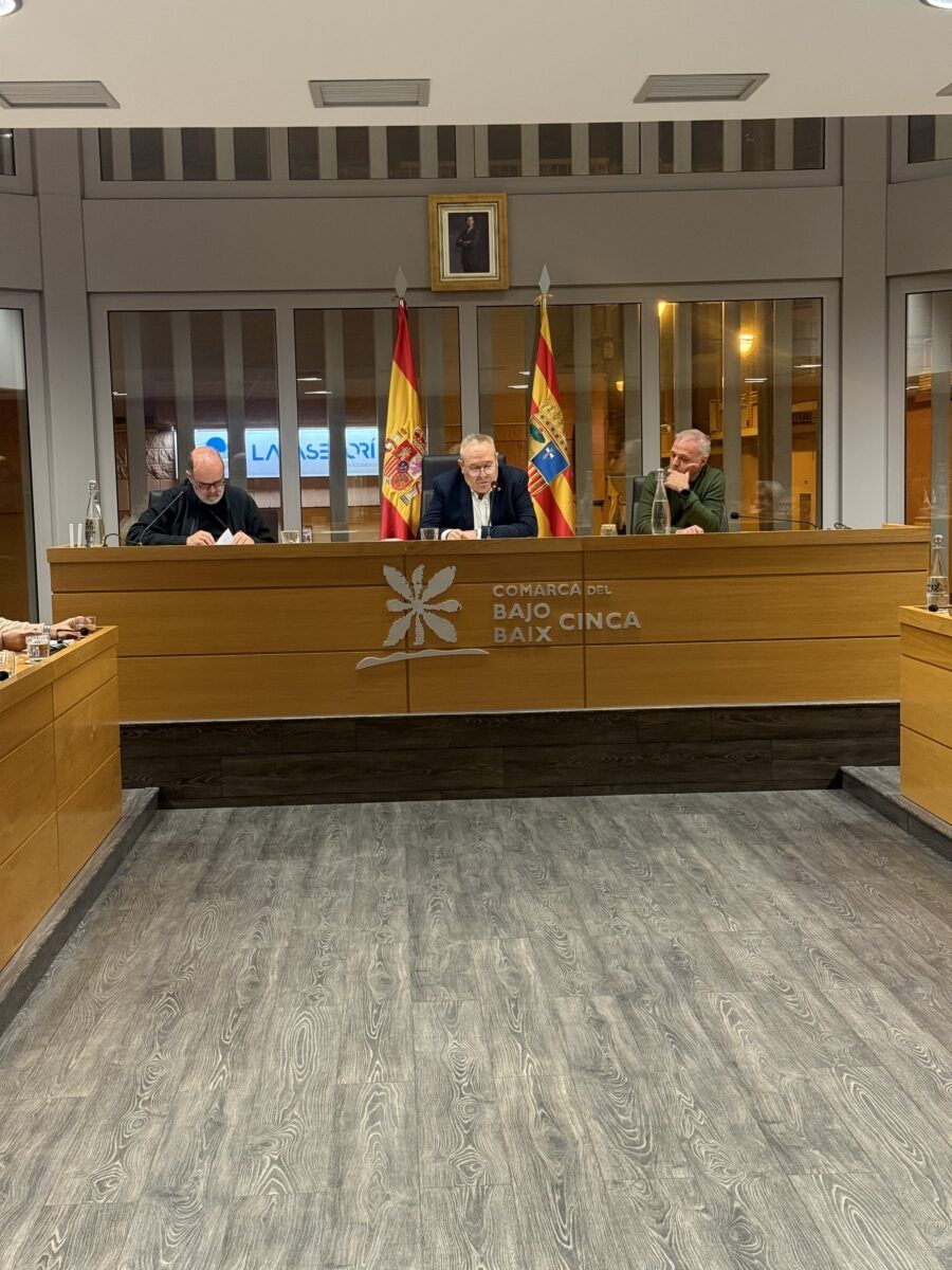 Pleno comarcal
