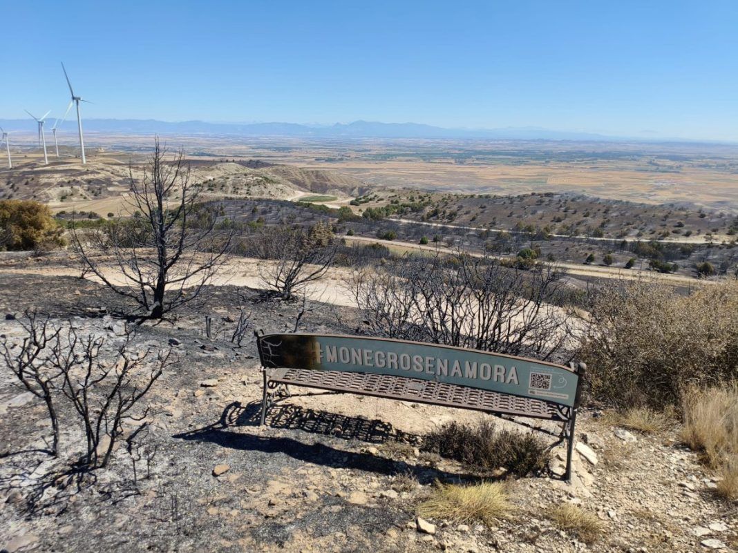 Incendio Monegros